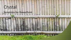  Presentation with green bamboo on green - Slide deck consisting of straight lines square - bamboo fence on stone background and a mint green colored foreground