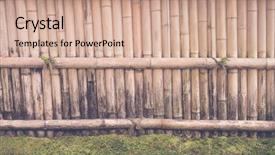  Presentation with green bamboo on green - Amazing presentation theme having straight lines square - bamboo fence on stone backdrop and a coral colored foreground