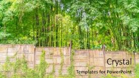  Presentation with green lines - Beautiful PPT layouts featuring straight lines square - bamboo fence with green leaves backdrop and a coral colored foreground