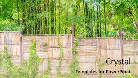  Presentation with chemistry leaves green leaf - Cool new theme with straight lines square - bamboo fence with green leaves backdrop and a lemonade colored foreground