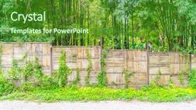  Presentation with green bamboo on green - Presentation theme enhanced with straight lines square - bamboo fence with green leaves background and a tawny brown colored foreground
