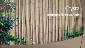  Presentation with green bamboo on green - Presentation featuring straight lines square - bamboo fence with green plant background and a  colored foreground