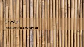  Presentation with bamboo - Beautiful slide set featuring straight lines square - bamboo fence backdrop and a coral colored foreground