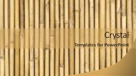  Presentation with bamboo - PPT theme featuring straight lines square - bamboo fence background and a  colored foreground