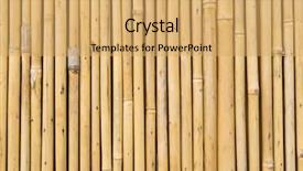  Presentation with textured natural bamboo fence - Presentation theme with straight lines square - bamboo fence background and a  colored foreground