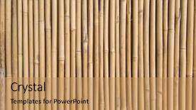  Presentation with textured natural bamboo fence - Presentation consisting of straight lines square - bamboo fence background and a coral colored foreground