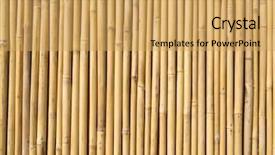  Presentation with bamboo - PPT theme featuring straight lines square - bamboo fence background and a yellow colored foreground