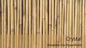  Presentation with textured natural bamboo fence - Slide deck with straight lines square - bamboo fence background and a  colored foreground