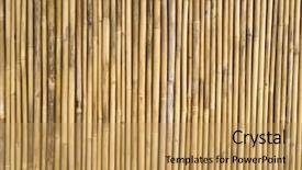  Presentation with bamboo - Presentation with straight lines square - bamboo fence background and a yellow colored foreground
