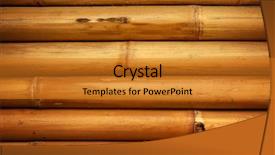  Presentation with bamboo - Colorful theme enhanced with straight lines square - bamboo fence backdrop and a  colored foreground