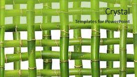  Presentation with bamboo - Cool new slides with straight lines square - bamboo grid backdrop and a yellow colored foreground