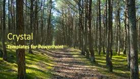  Presentation with summer trees - Slide set consisting of straight-narrow-path-covered background and a tawny brown colored foreground