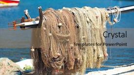  Presentation with fishing net - Presentation theme consisting of strained food - fishing net background and a coral colored foreground