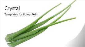  Presentation with abstract natural fresh green - Slides enhanced with strained food - fresh green elephant ear stems background and a white colored foreground