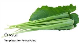  Presentation with stem - Cool new PPT theme with strained food - giant strain stem leaf isolated backdrop and a  colored foreground