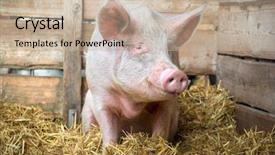  Presentation with breeding - Cool new presentation with metalwork - equipment for metalworking production blurred backdrop and a light gray colored foreground