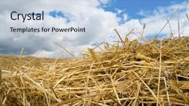  Presentation with dark blue coloured - Colorful theme enhanced with straw with bright dark blue backdrop and a  colored foreground