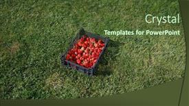  Presentation with green lawn - Colorful slide set enhanced with strawberries-box-on-green-lawn backdrop and a tawny brown colored foreground