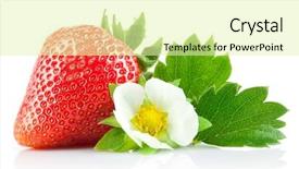  Presentation with lime green and white flower - Colorful PPT theme enhanced with strawberry berry with green leaf backdrop and a blonde colored foreground