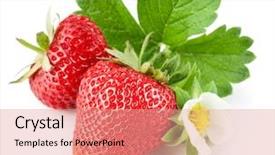  Presentation with green leaf - Slides consisting of strawberry berry with green leaf background and a coral colored foreground