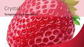  Presentation with maximum - Presentation design having strawberry isolated on a white background clipping path maximum sharpness background and a coral colored foreground