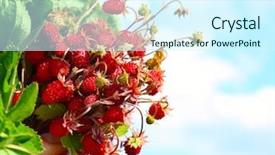  Presentation with green leaves - Cool new theme with strawberry plant - bouquet of wild strawberries backdrop and a cool aqua colored foreground