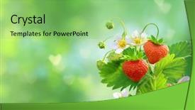  Presentation with heart shape from natural tree - PPT theme enhanced with strawberry plant - strawberries in shape background and a seafoam green colored foreground