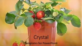  Presentation with strawberry - Presentation theme featuring reflection river and shadow tree background and a  colored foreground.