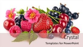  Presentation with fruit mix berry - Amazing presentation theme having strawberry raspberry and currant fruity backdrop and a coral colored foreground