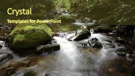  Presentation with forest stream - Slides consisting of stream flowing in lush new zealand tropical forest background and a tawny brown colored foreground