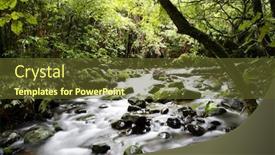  Presentation with forest stream - Amazing PPT layouts having stream flowing in lush tropical forest backdrop and a tawny brown colored foreground