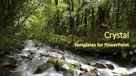  Presentation with forest stream - Colorful slide deck enhanced with stream flowing in lush tropical backdrop and a tawny brown colored foreground