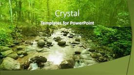  Presentation with forest stream - Audience pleasing slide set consisting of stream flowing in tropical green forest backdrop and a tawny brown colored foreground