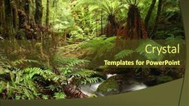  Presentation with stream - Amazing slides having stream-flowing-through-lush-ferny backdrop and a tawny brown colored foreground