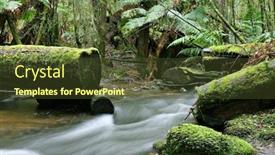  Presentation with forest stream - Amazing slides having stream-in-the-forest backdrop and a tawny brown colored foreground