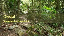  Presentation with stream - Cool new presentation theme with stream in the tropical jungle backdrop and a tawny brown colored foreground