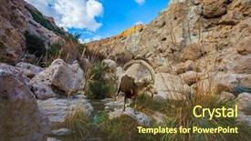  Presentation with pure water - Colorful slide deck enhanced with stream of cold pure water backdrop and a tawny brown colored foreground