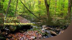  Presentation with forest stream - Audience pleasing presentation theme consisting of stream-through-forest backdrop and a tawny brown colored foreground