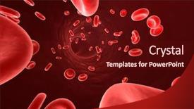  Presentation with blood cell - Presentation theme with streaming blood background and a wine colored foreground