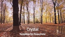 Presentation with woods - PPT theme with strees - fall in the woods background and a  colored foreground
