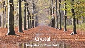  Presentation with woods - Colorful slides enhanced with strees - fall in the woods backdrop and a  colored foreground