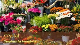  Presentation with colourful flower - PPT theme having street flower shop with colourful flowers background and a tawny brown colored foreground