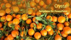  Presentation with orange fruit - Slide deck consisting of street food vendor - orange fruit stacked background and a tawny brown colored foreground