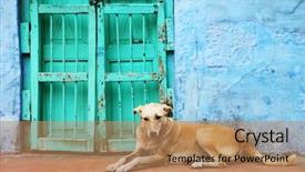  Presentation with jodhpur - Cool new slides with blank idea creativity frame free backdrop and a red colored foreground