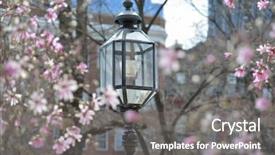  Presentation with magnolia - Cool new slide set with street lamp light and magnolia backdrop and a gray colored foreground