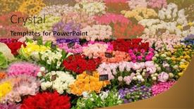  Presentation with array - Presentation theme consisting of street-market-in-osaka-japan background and a yellow colored foreground