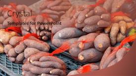  Presentation with sweet potato - Presentation theme having street-market-sell-sweet-potato background and a coral colored foreground