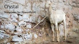  Presentation with jodhpur - Beautiful presentation theme featuring streets of jodhpur rajasthan india backdrop and a  colored foreground