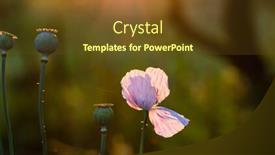  Presentation with strength - Theme consisting of strength-training-outdoors-focus background and a tawny brown colored foreground