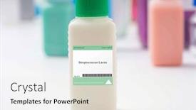  Presentation with dairy products - Presentation theme with streptococcus-lactis-bacteria-a-mesophilic background and a white colored foreground